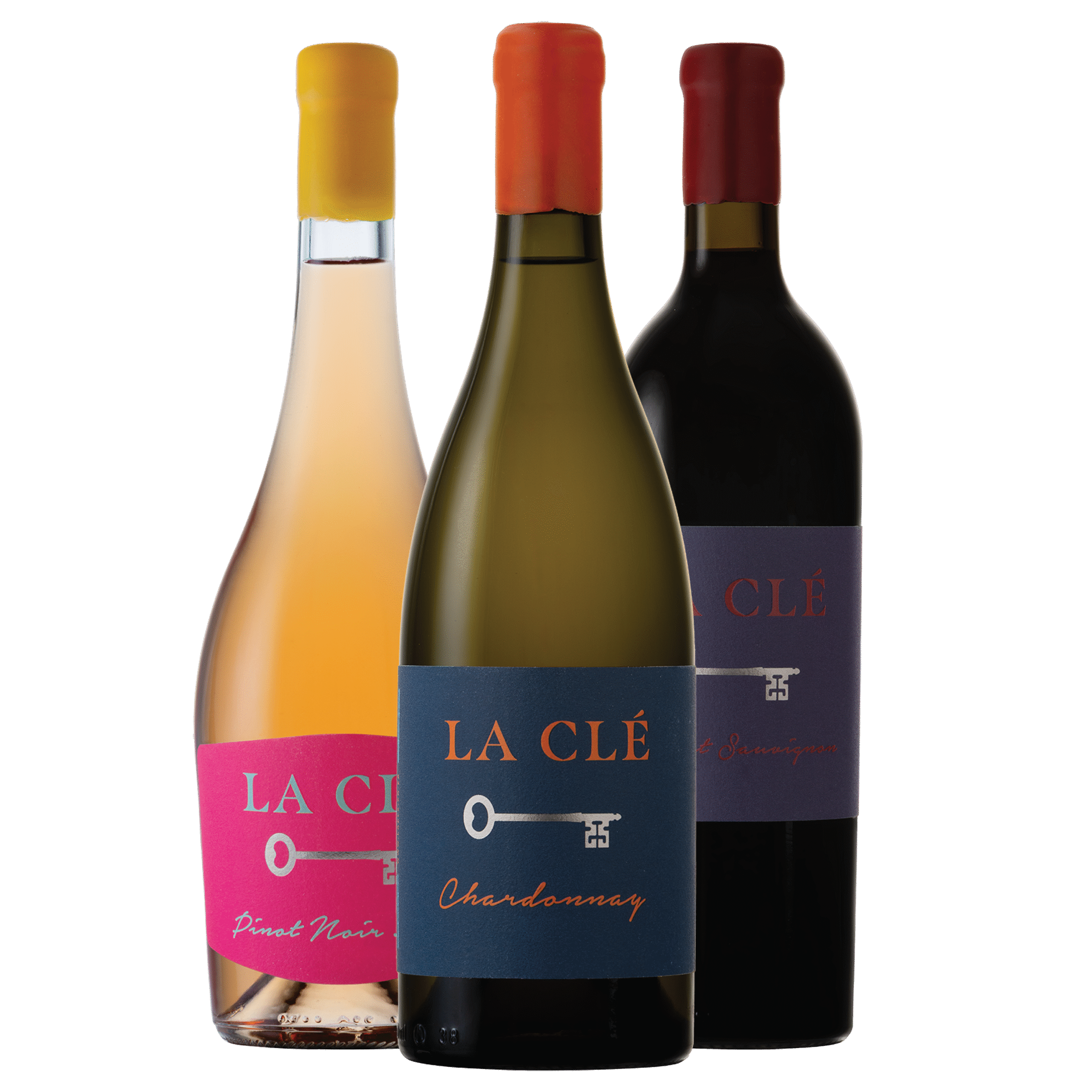 Featured image for “Discover Selection”